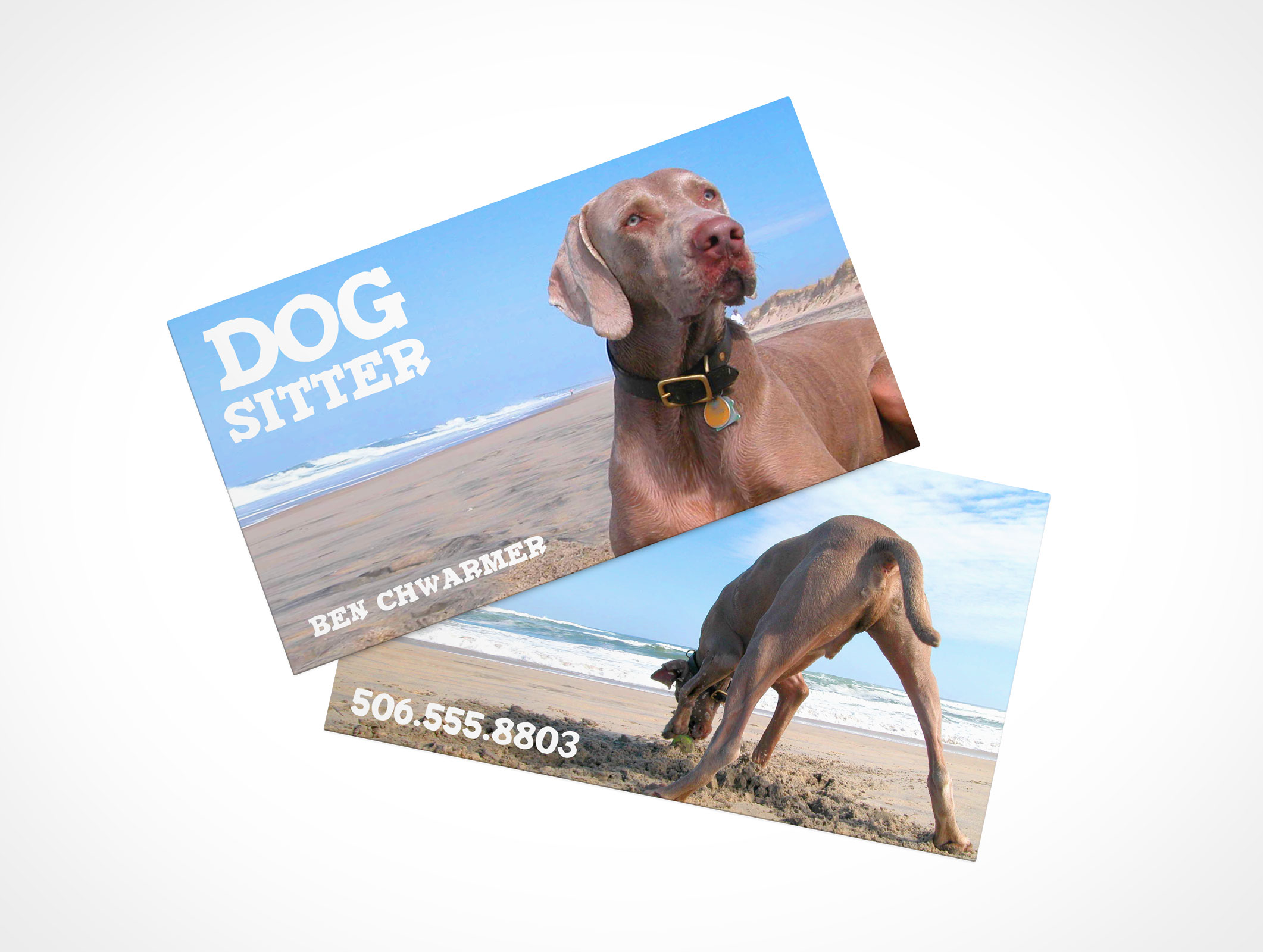 Business Card Mockup 4r4