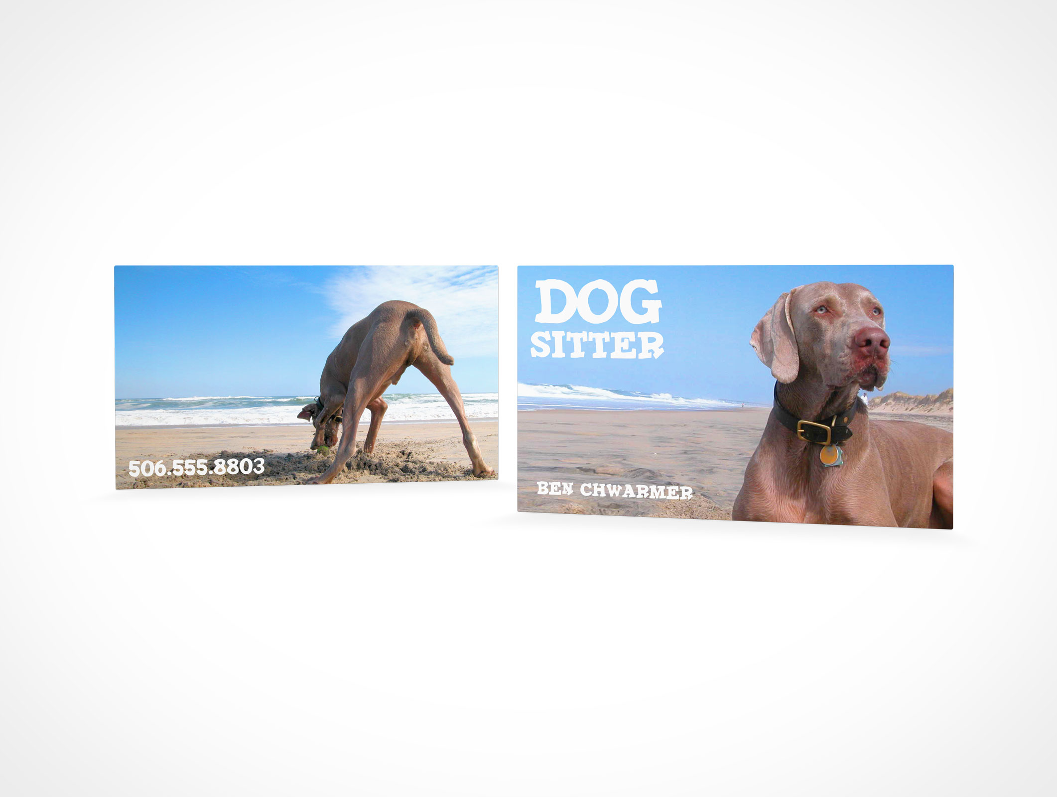 Business Card Mockup 6r5