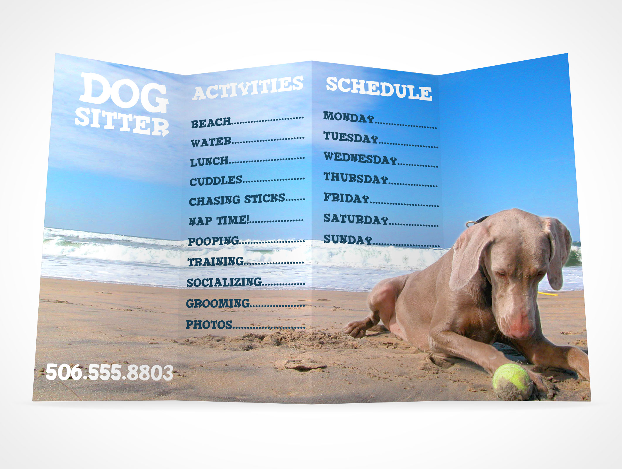 Four Fold Flyer Mockup 2r5
