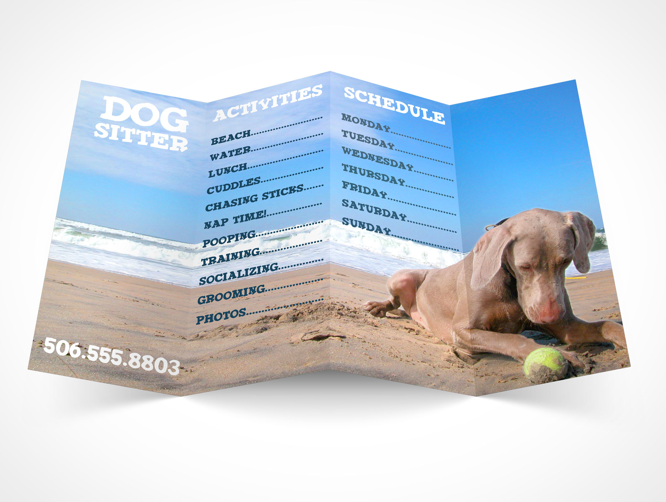Four Fold Flyer Mockup 3r5