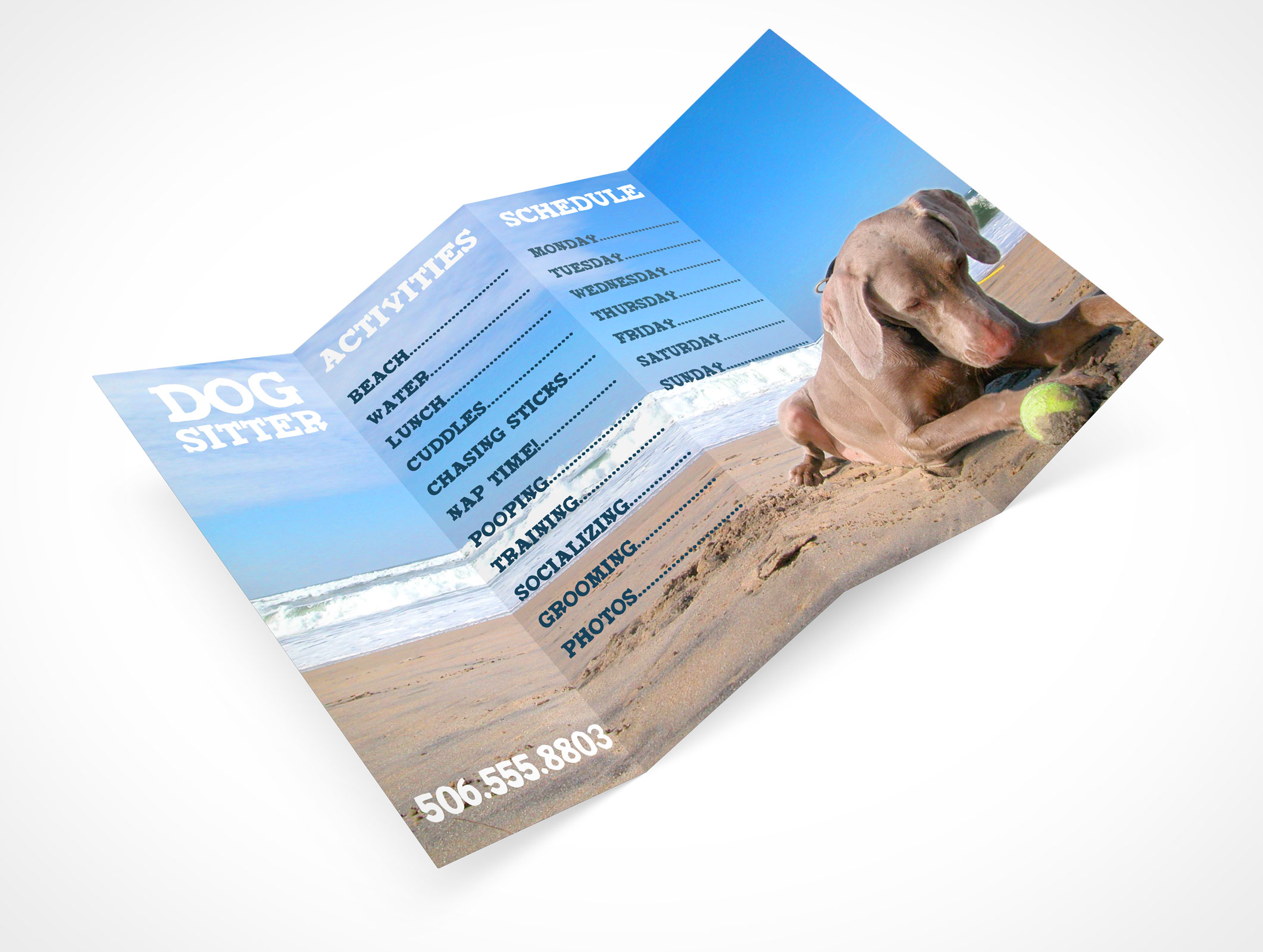 Four Fold Flyer Mockup 4r3