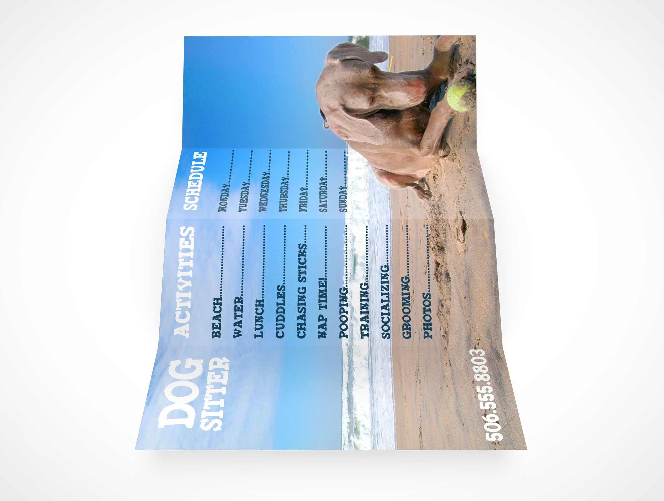 Four Fold Flyer Mockup 6r3