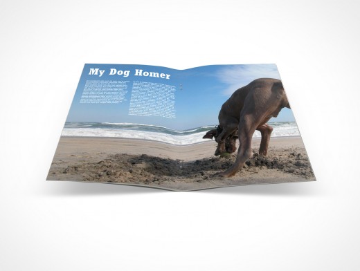 Pamphlet PSD Mock-Up Centerfold Bifold Cover Action Freebie