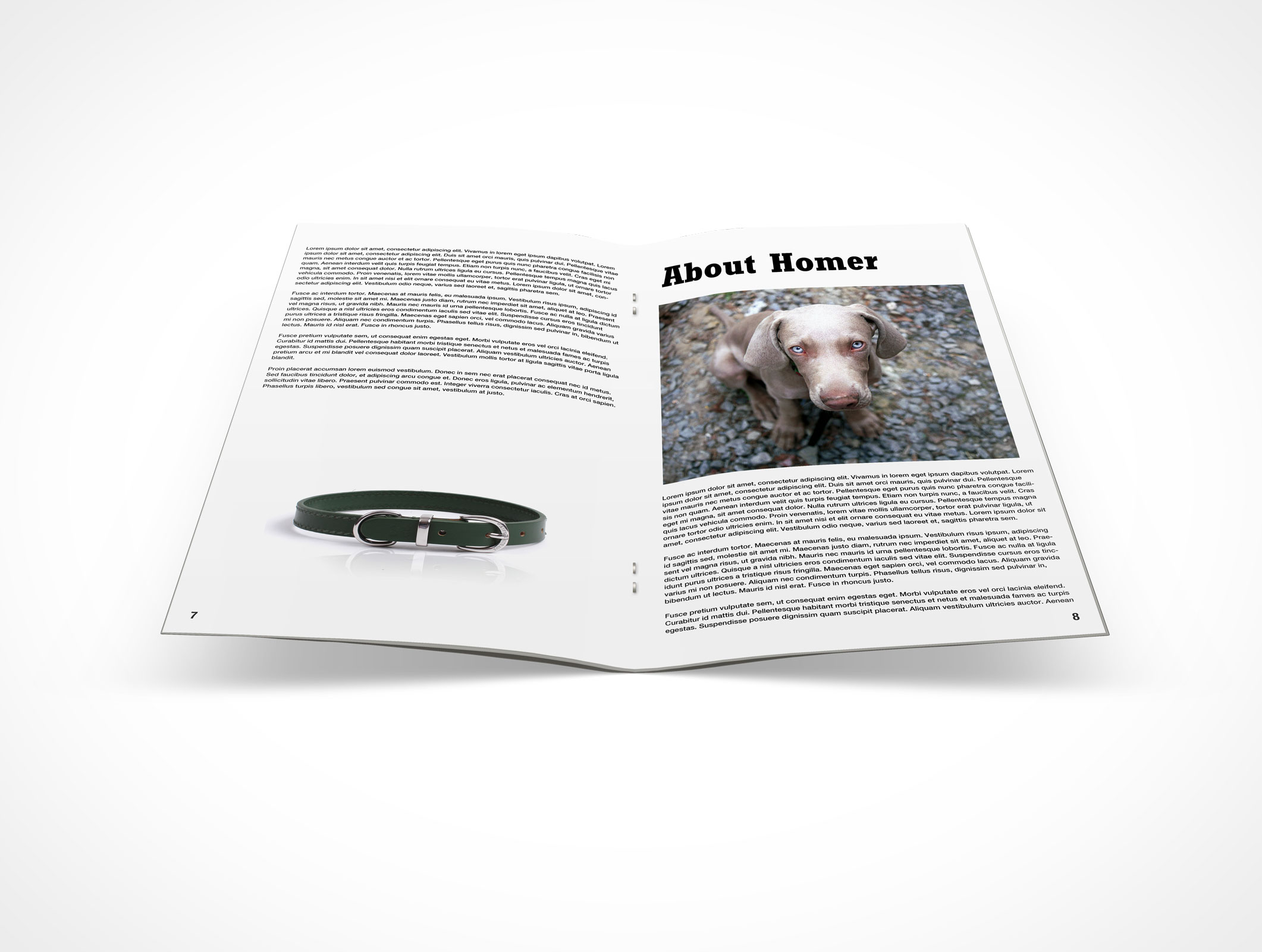 Stitched Pamphlet Mockup 2r5