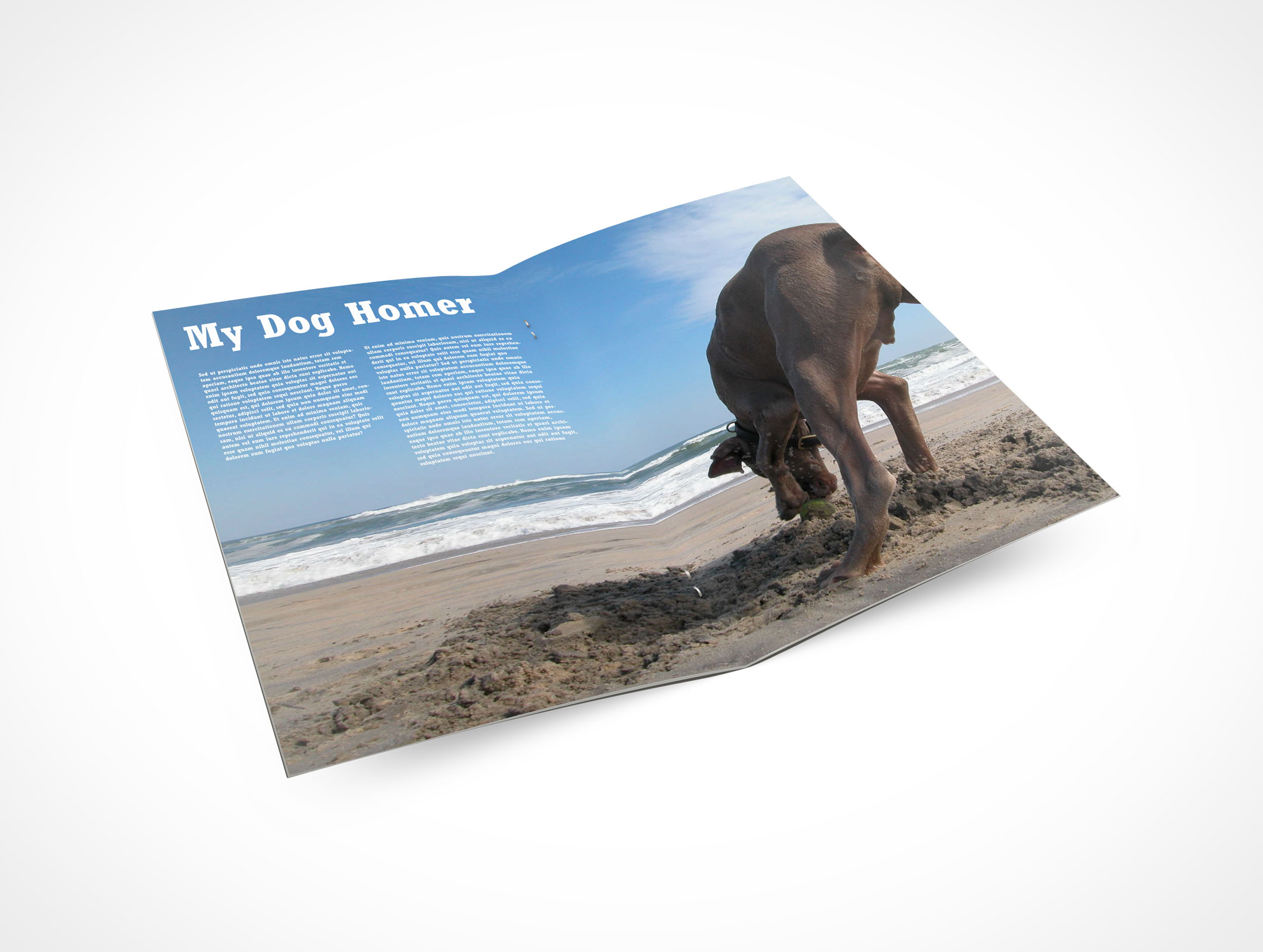 Stitched Pamphlet Mockup 3r