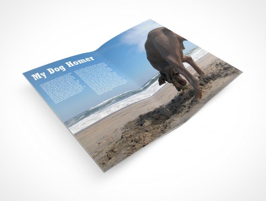 Stitched Pamphlet Mockup 4r