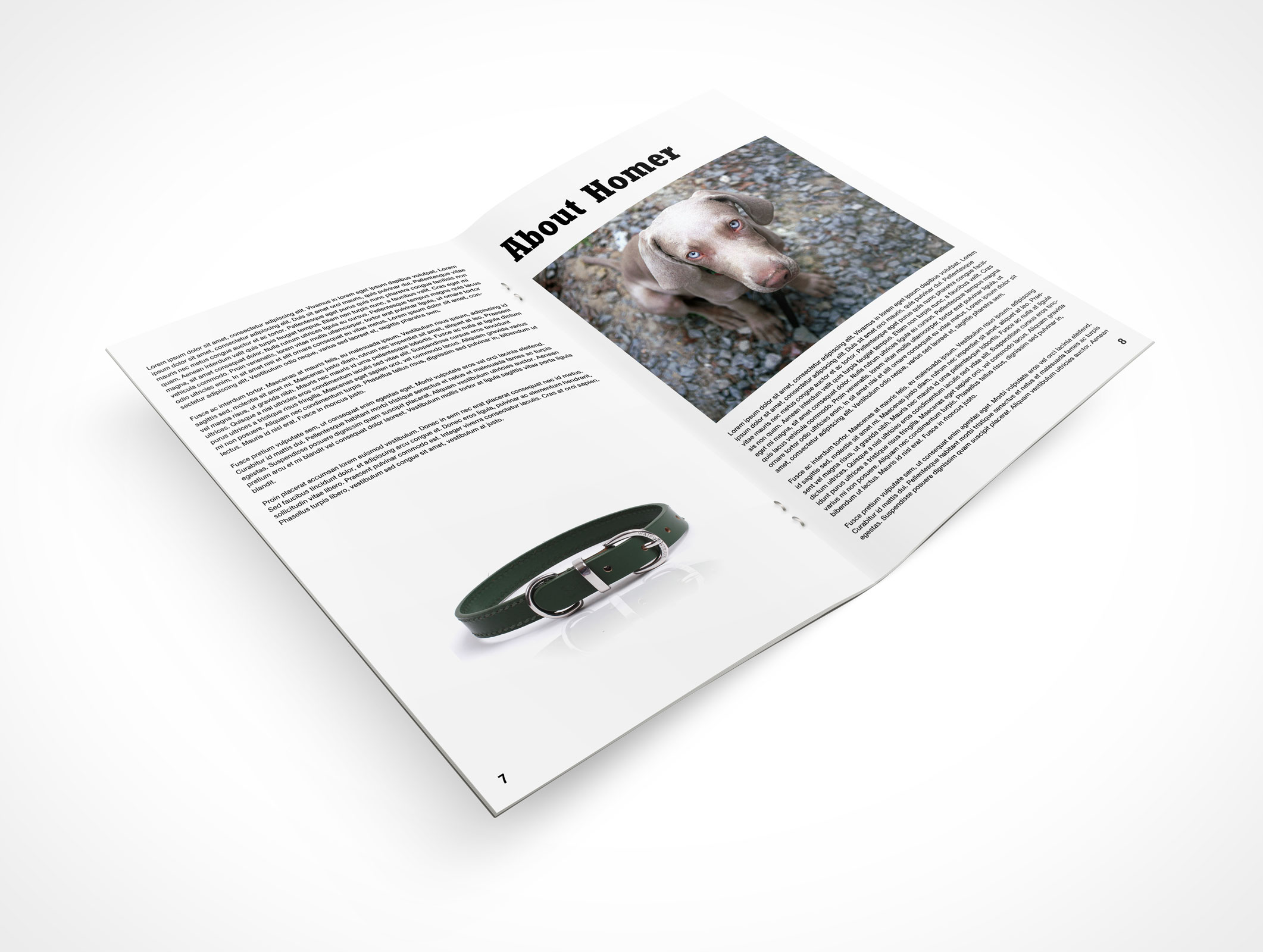 Stitched Pamphlet Mockup 4r5