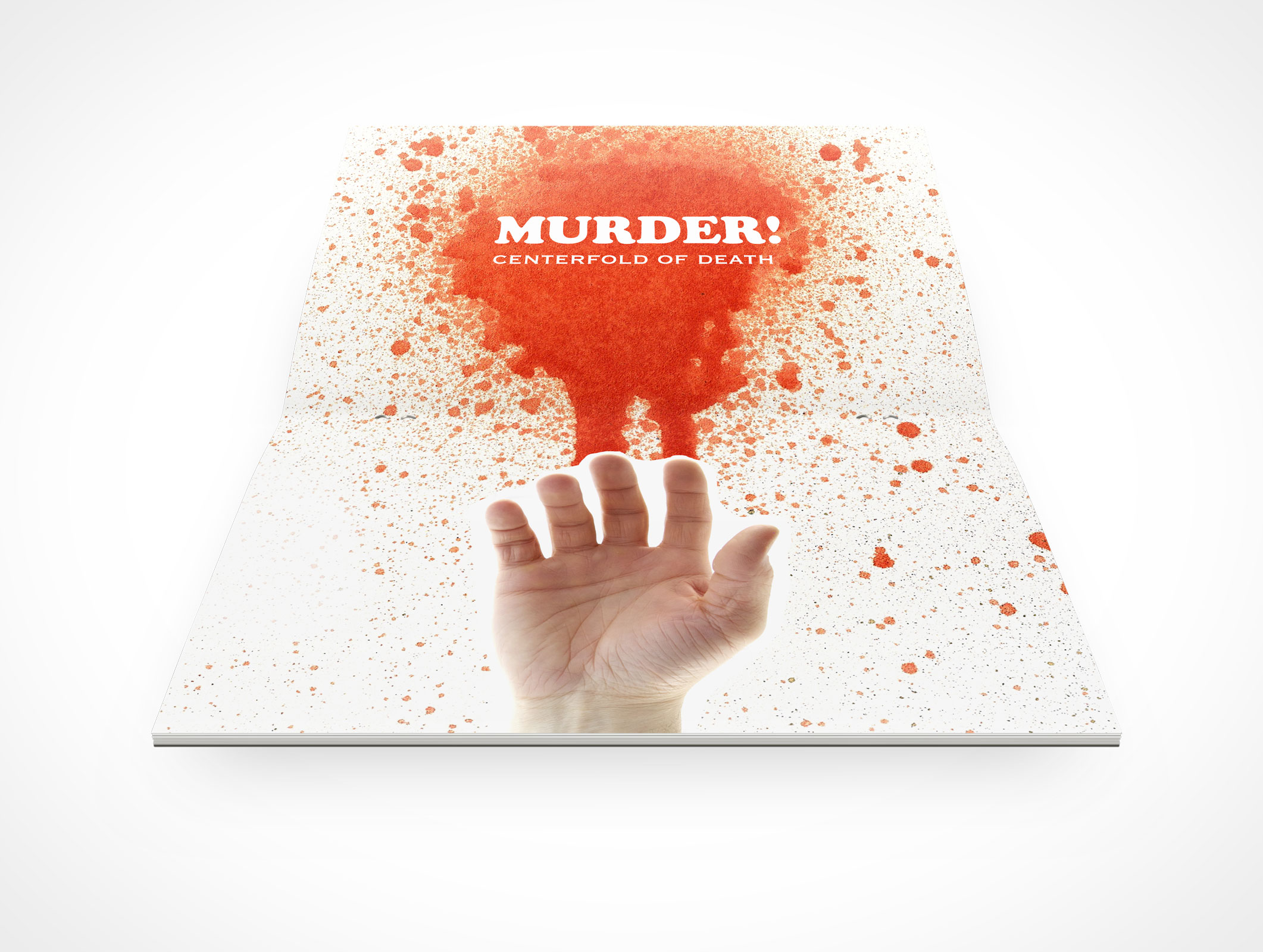 Stitched Pamphlet Mockup 5r