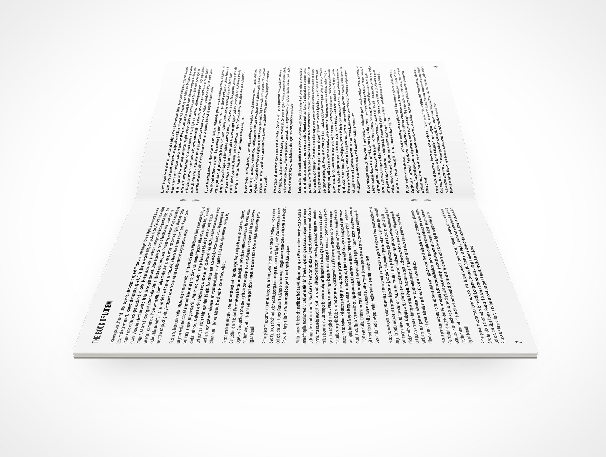 Stitched Pamphlet Mockup 5r2