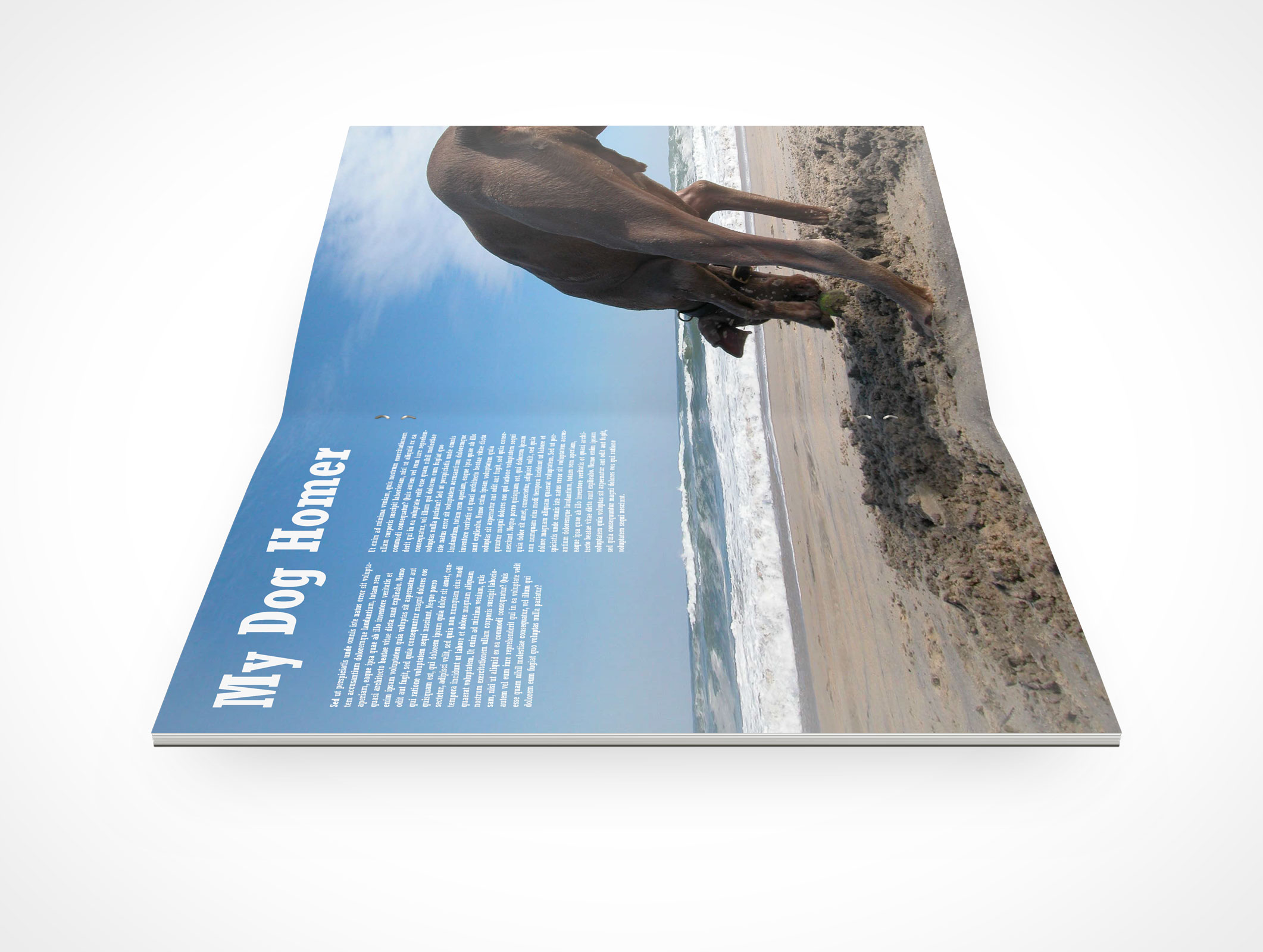 Stitched Pamphlet Mockup 5r4