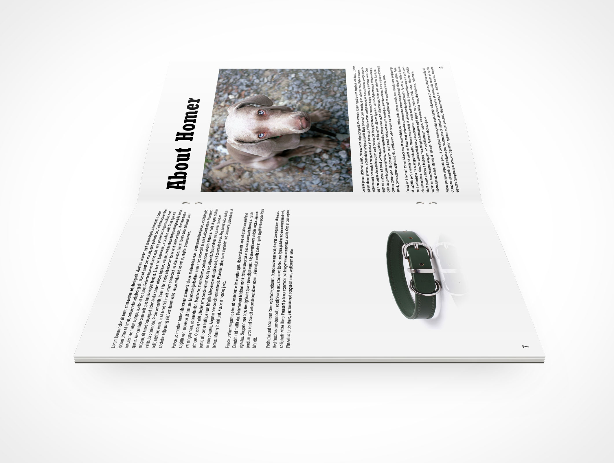 Stitched Pamphlet Mockup 5r5