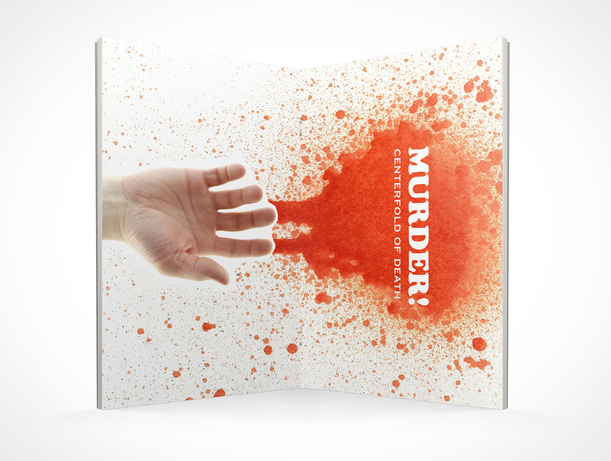 Stitched Pamphlet Mockup 6r4