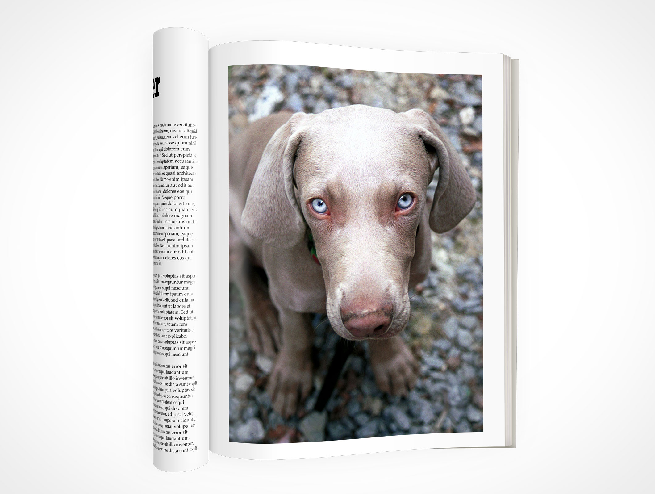 Folded Magazine Mockup 5r5