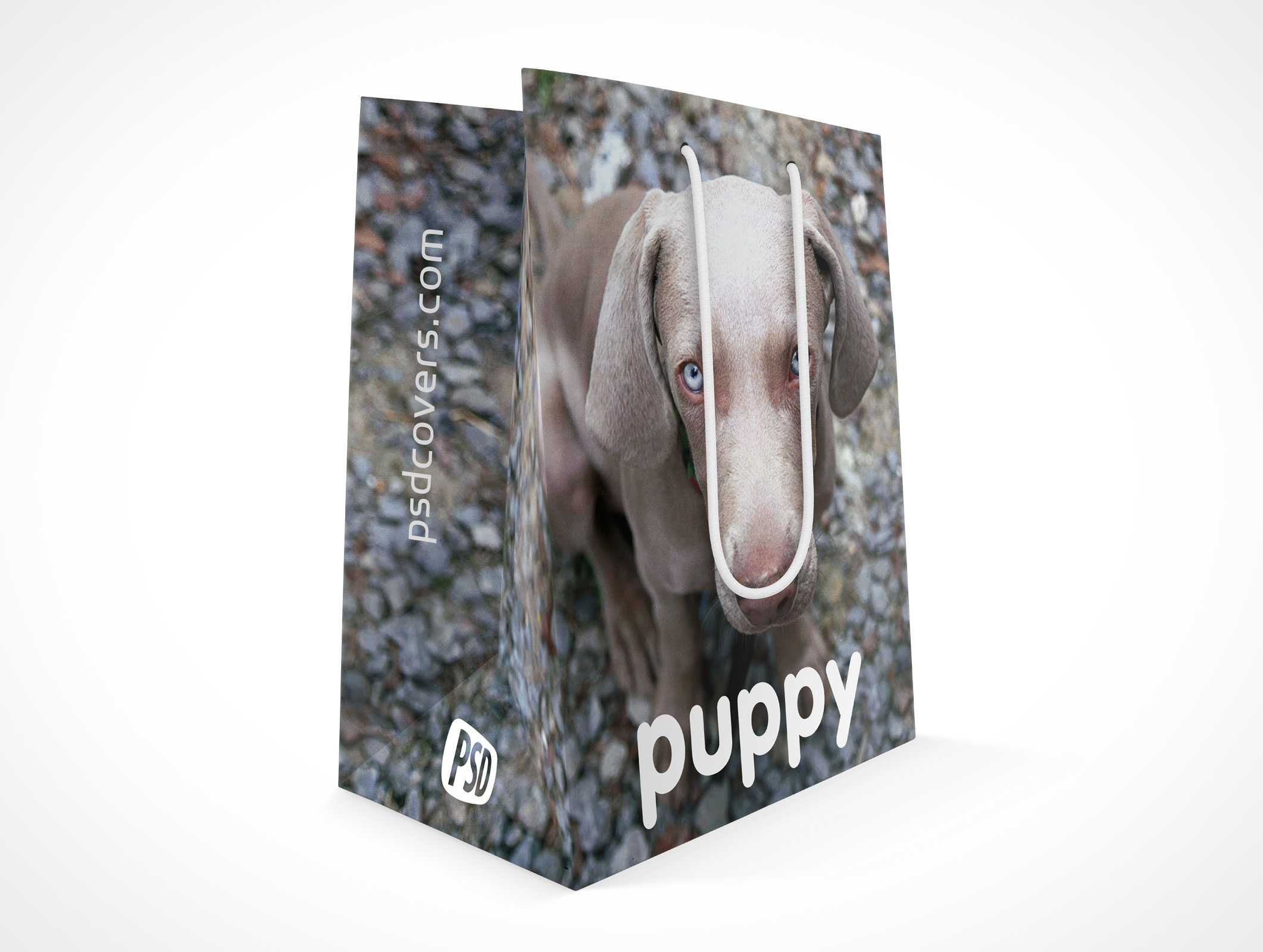 Boutique Shopping Bag Mockup 3r4