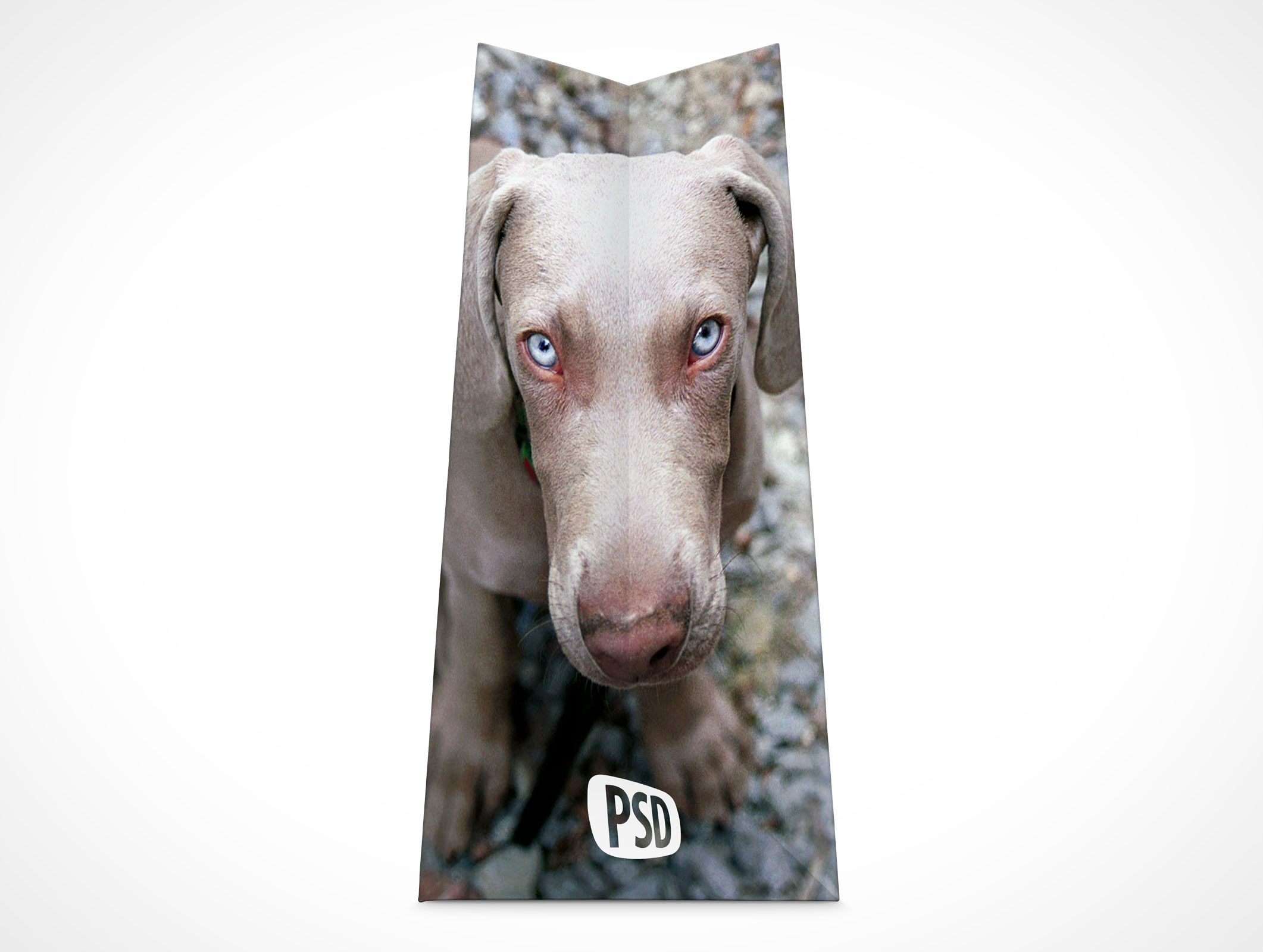 Boutique Shopping Bag Mockup 4r5