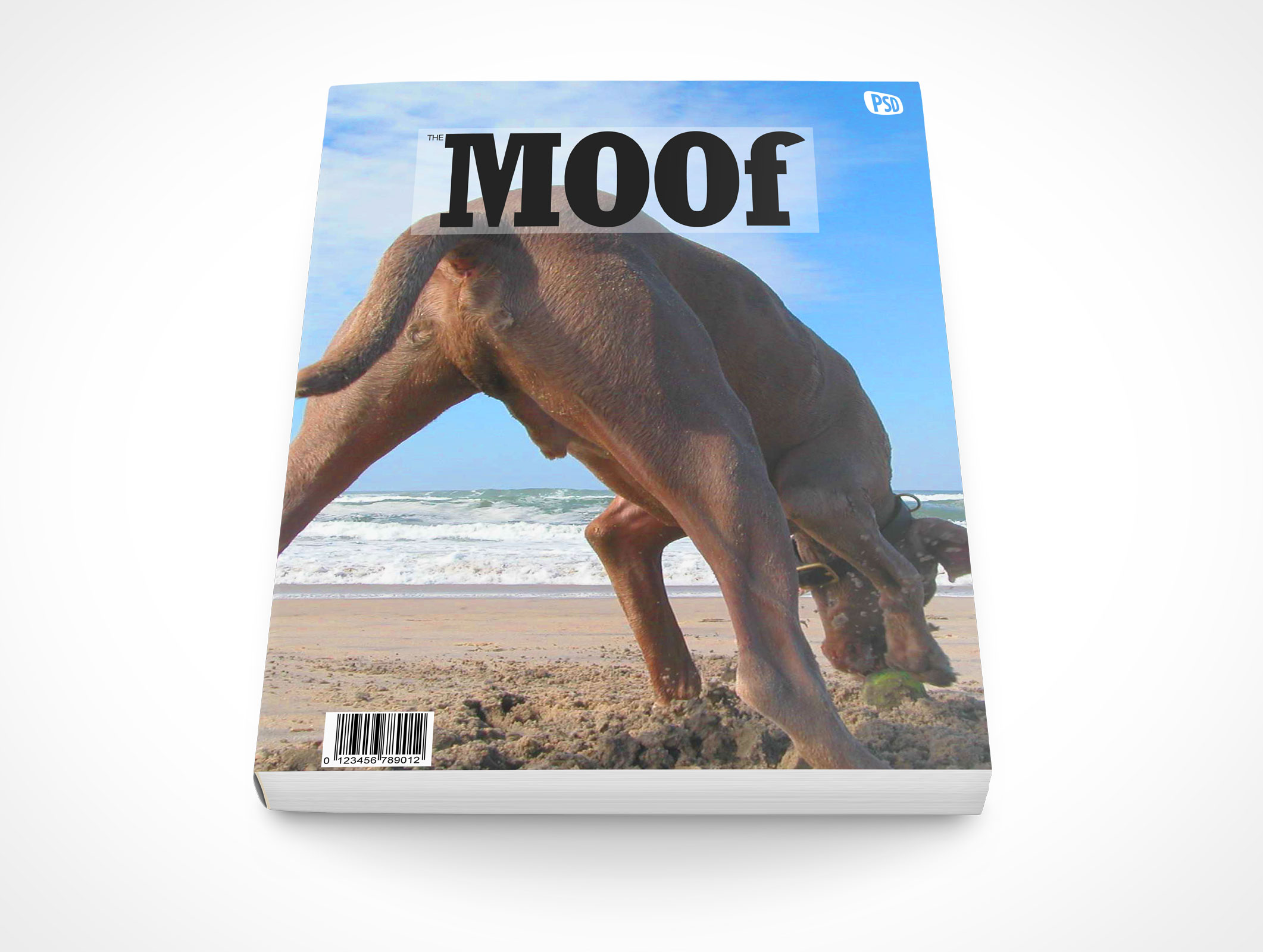 8.5 X 11 Faceup Softcover Mockup 10r5