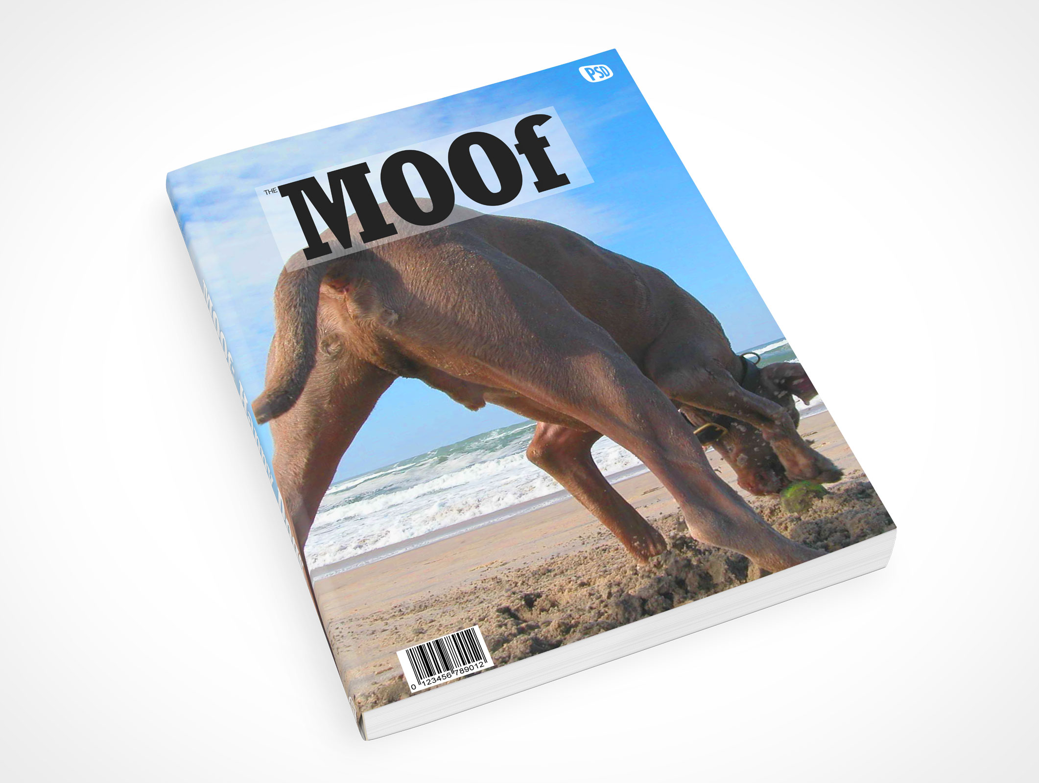 8.5 X 11 Faceup Softcover Mockup 12r2