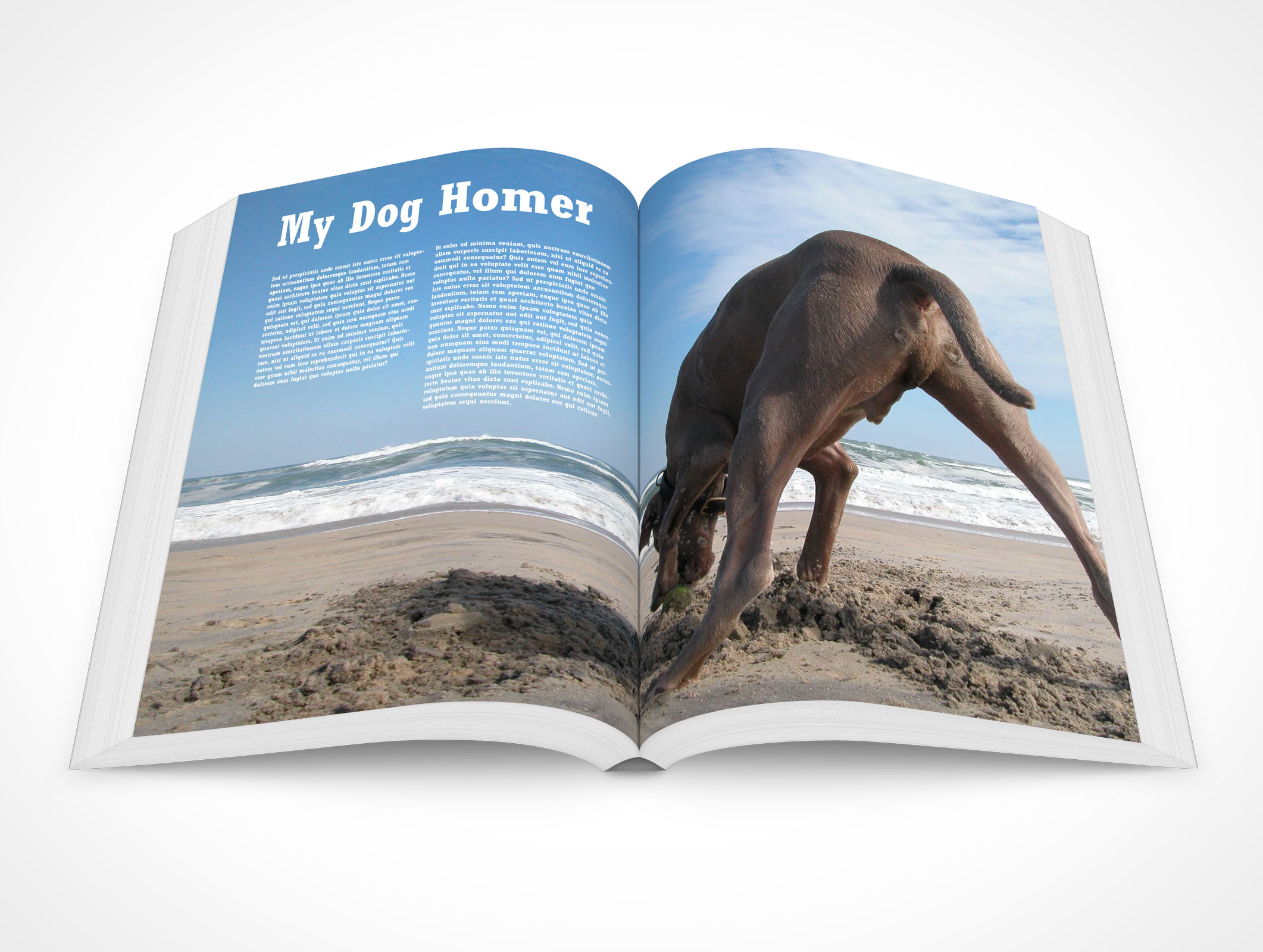 8.5 X 11 Spread Softcover Mockup 13r3
