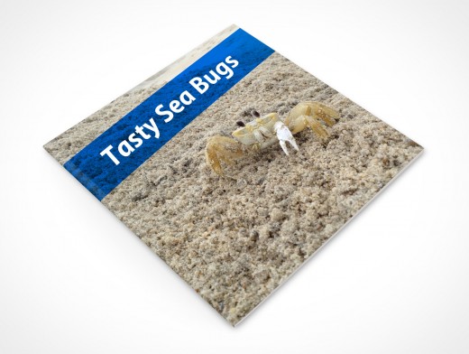 Faceup Square Brochure Mockup 3r