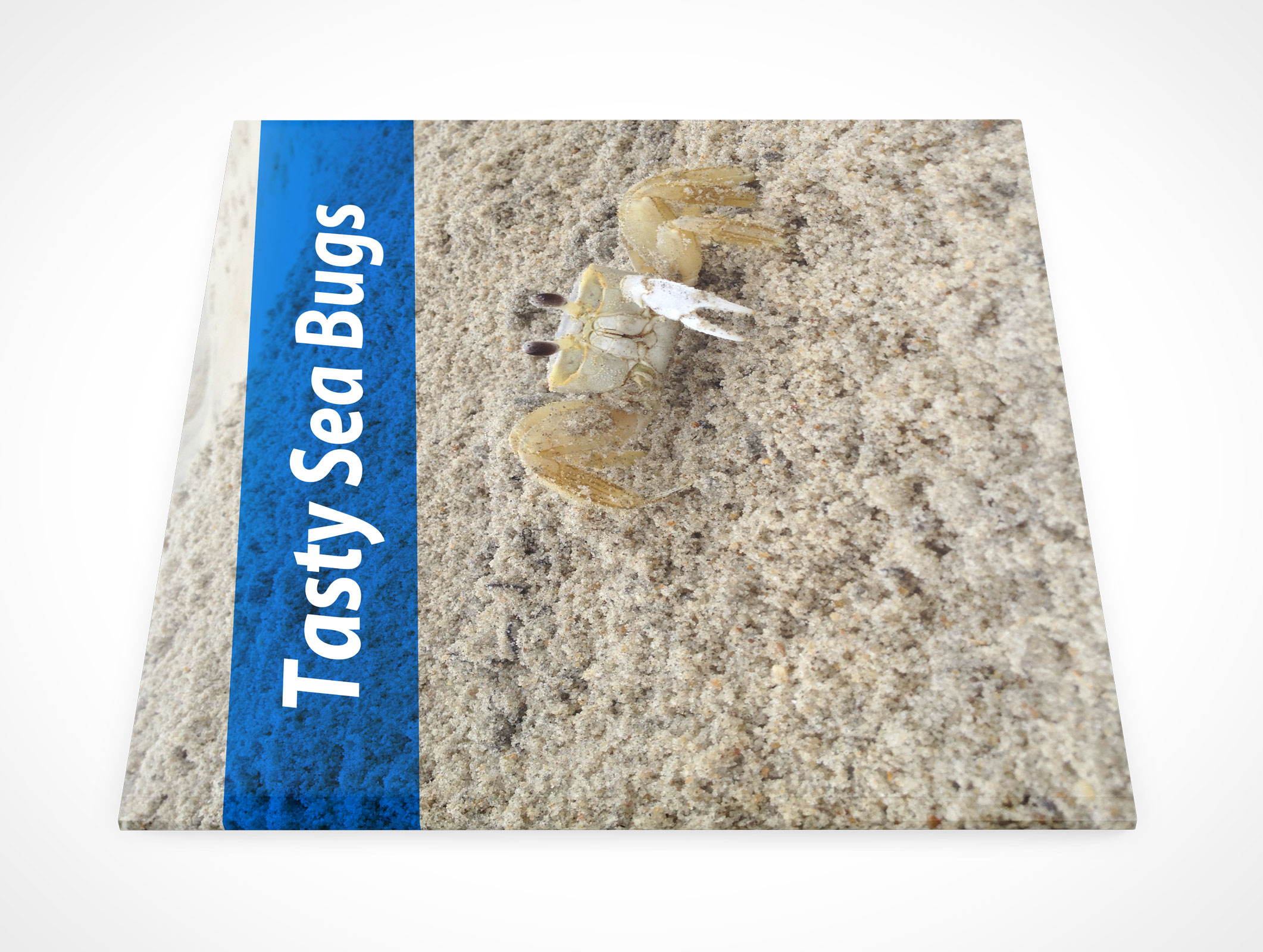 Faceup Square Brochure Mockup 4r2