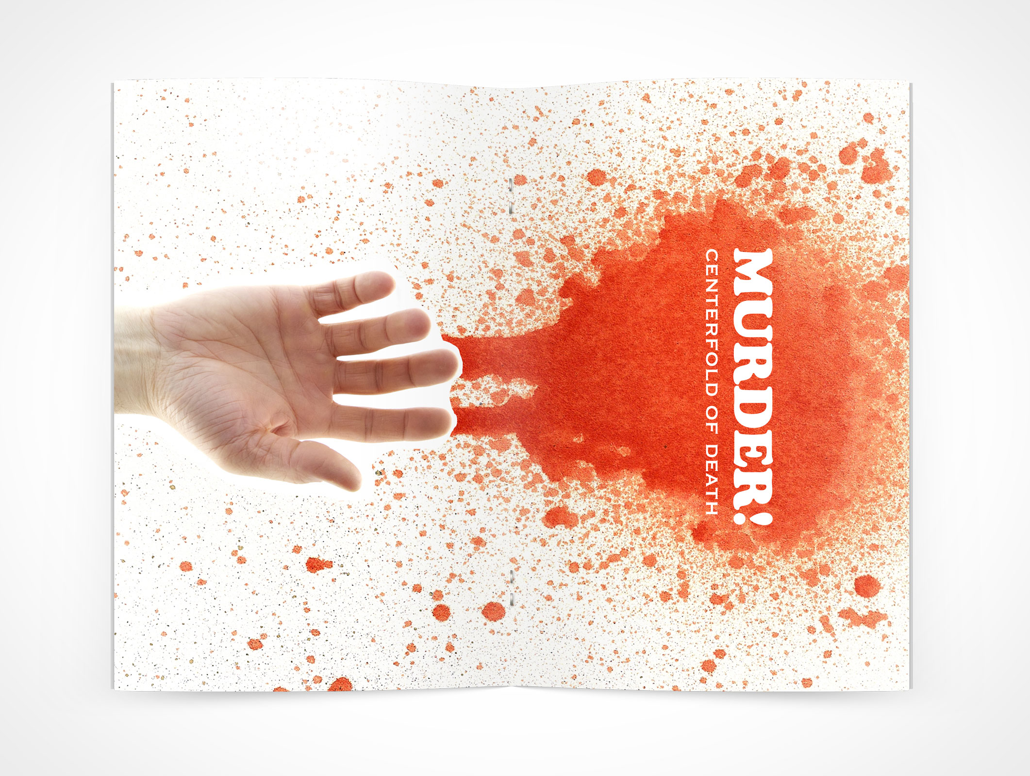 Stitched Pamphlet Mockup 9r4