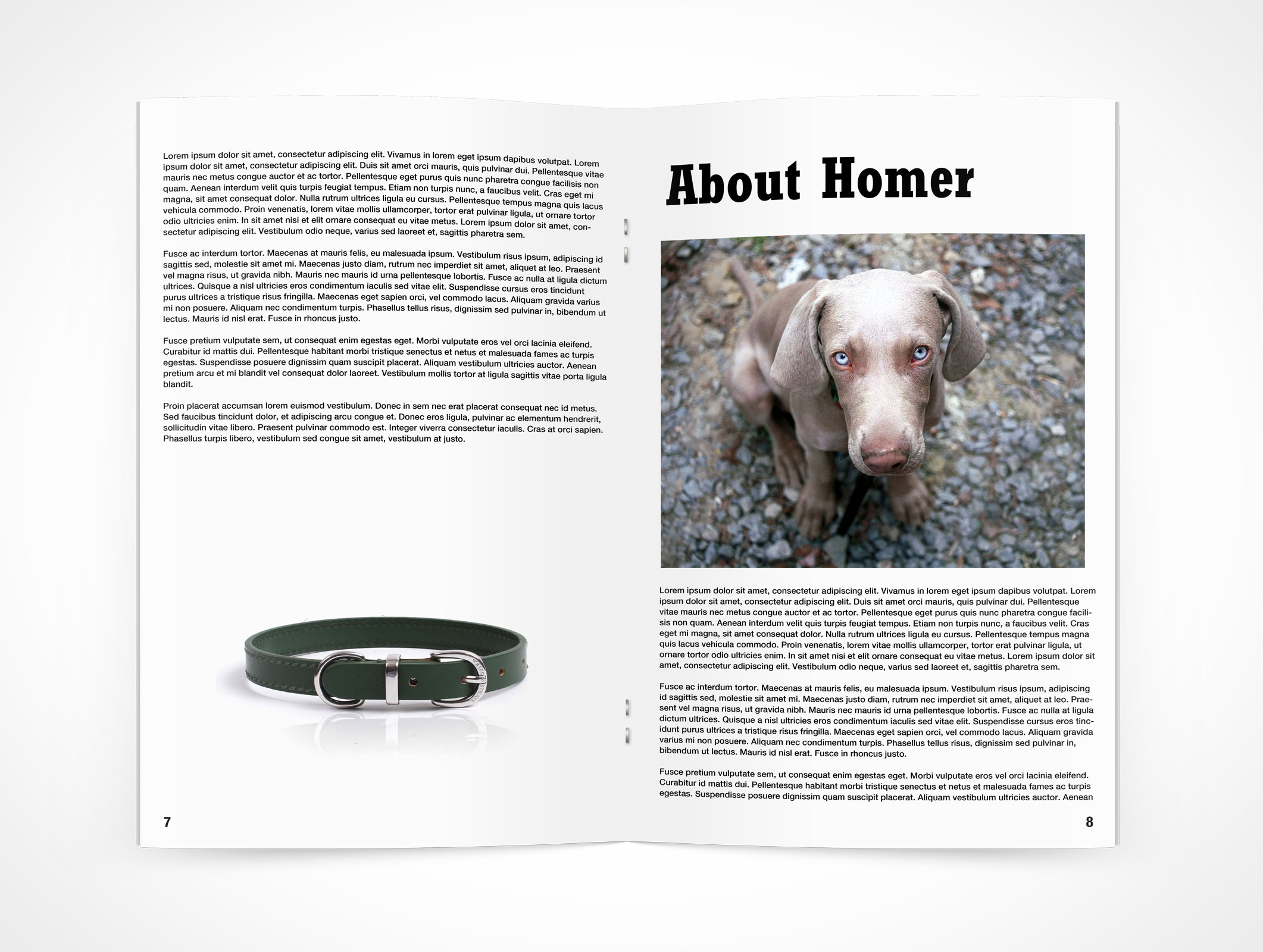 Stitched Pamphlet Mockup 9r5