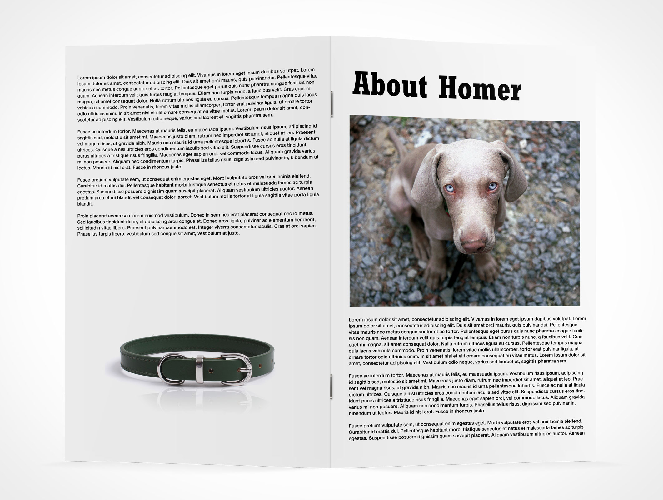 Stitched Pamphlet Mockup 10r2