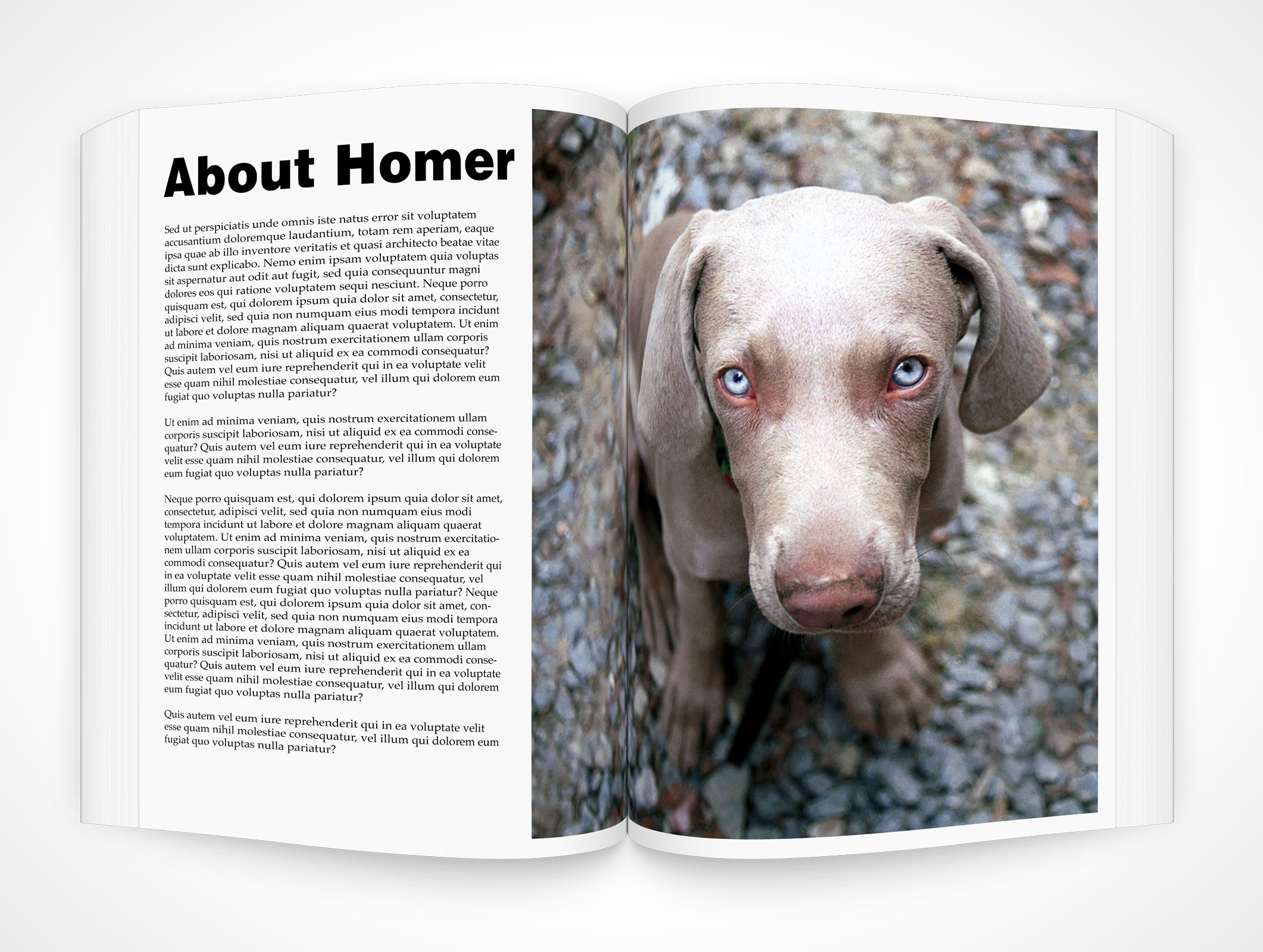 8.5 X 11 Spread Softcover Mockup 20r4