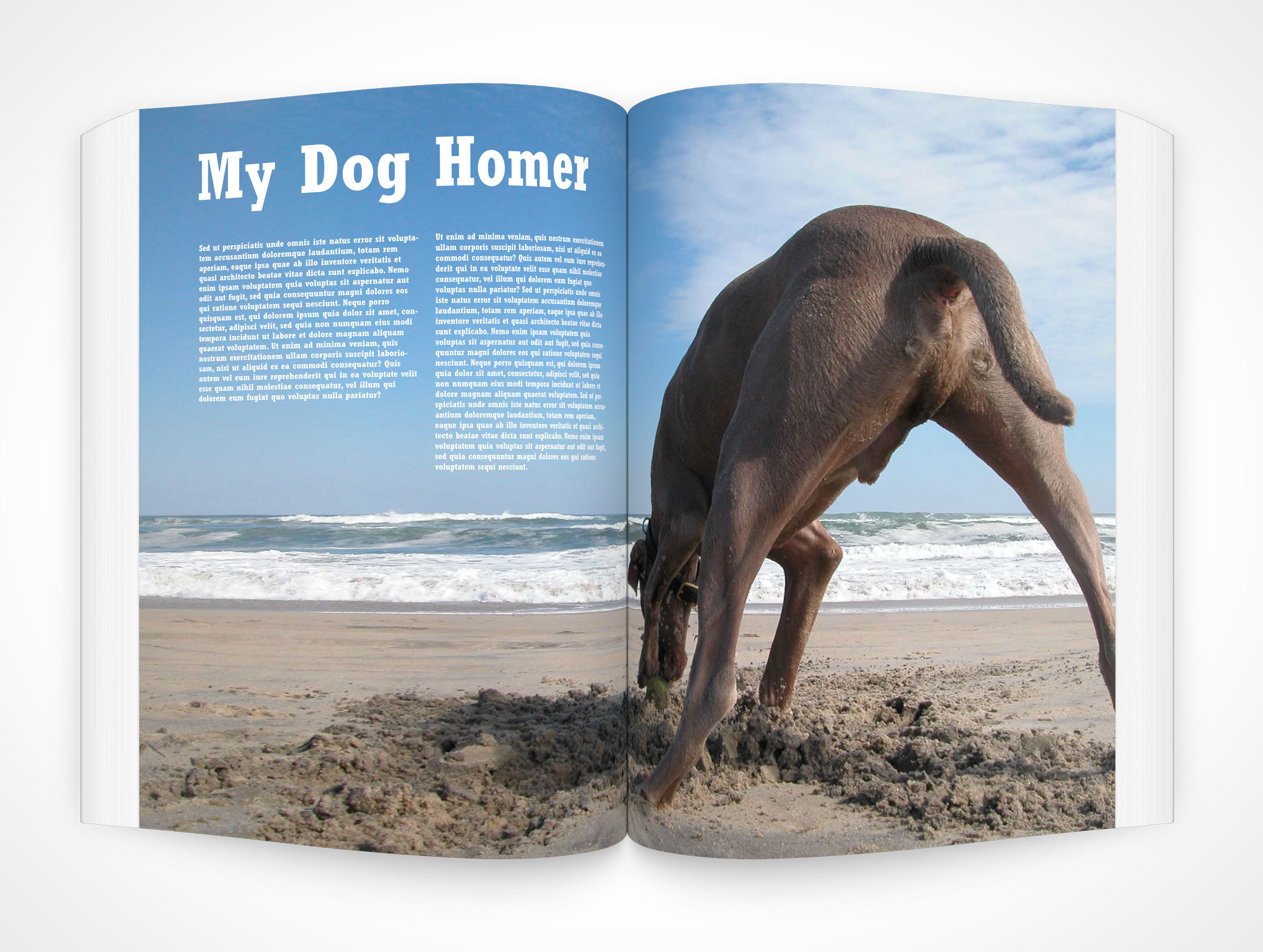 8.5 X 11 Spread Softcover Mockup 20r5