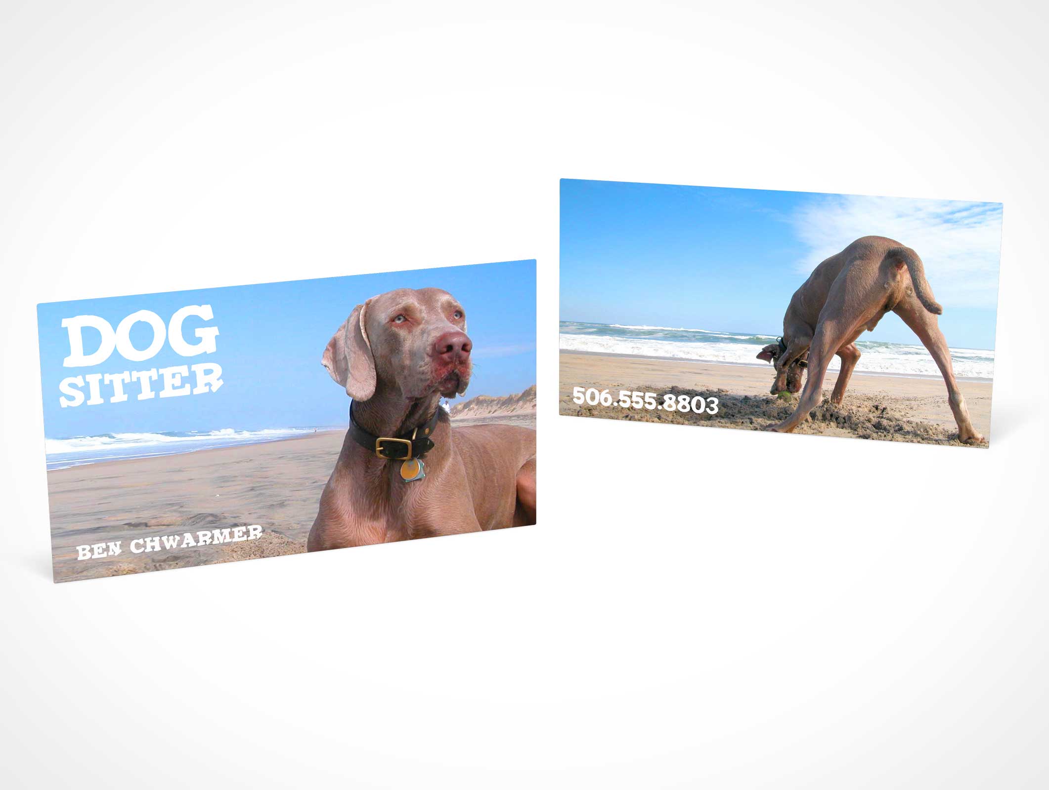 Business Card Mockup 10r5