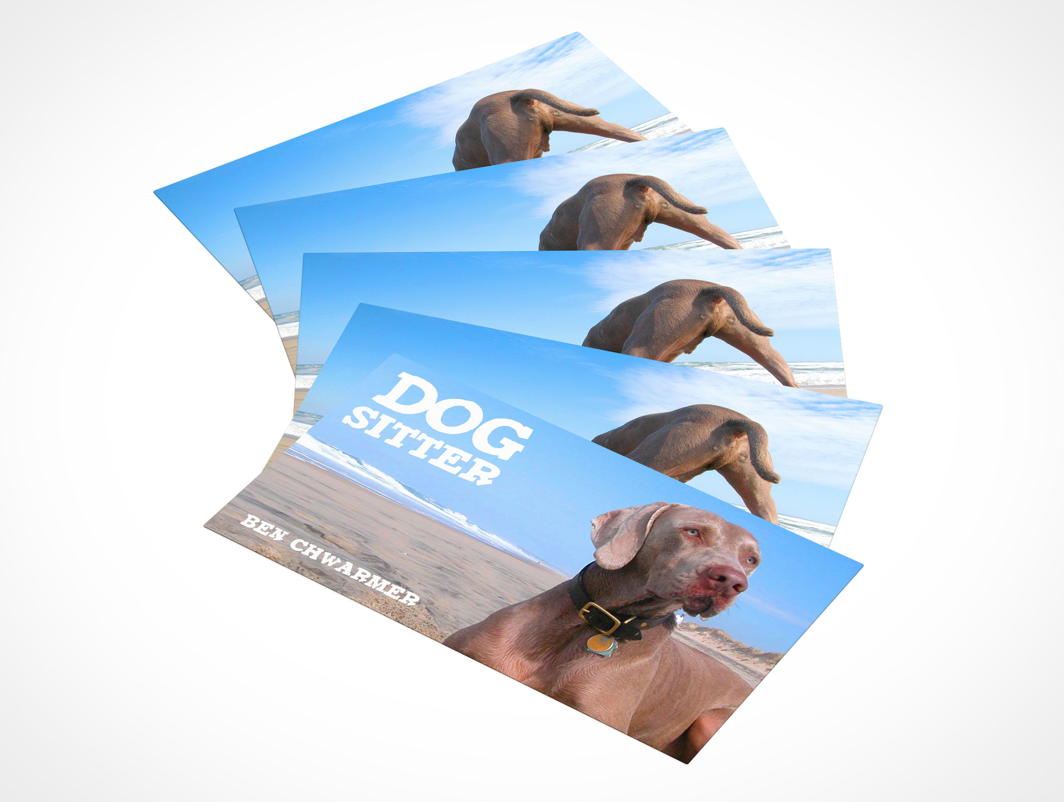 Business Card Mockup 13r4