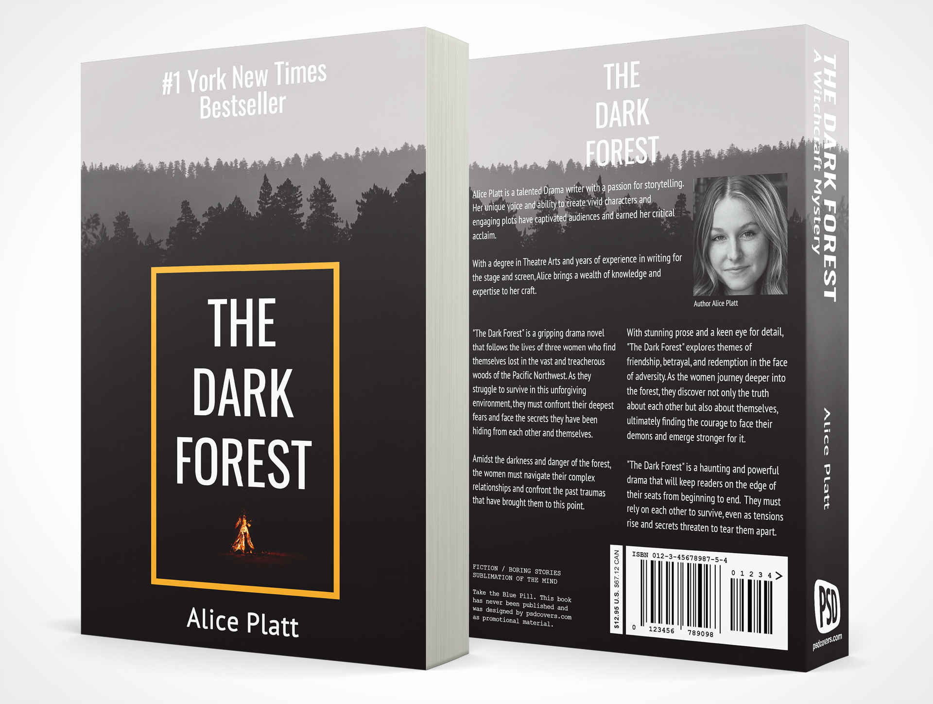 FREE PSD 6X9 The Dark Forest Book Cover Design